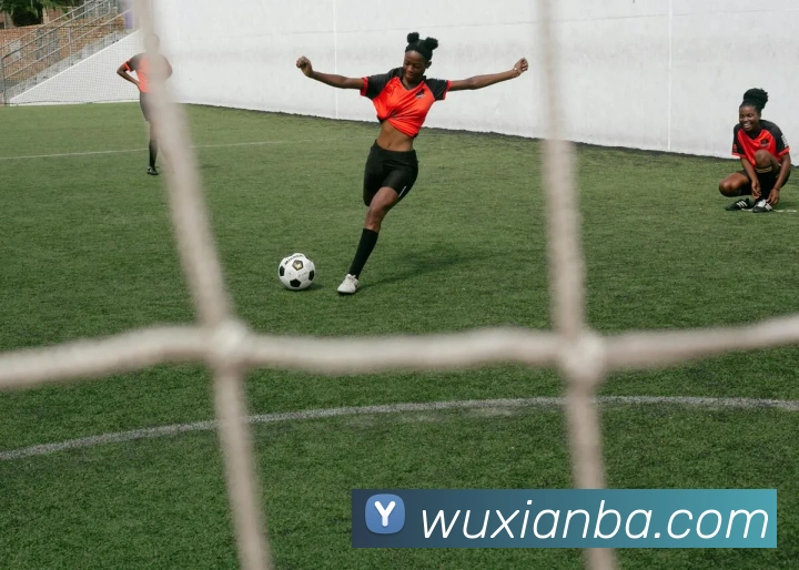 App Interface Preview