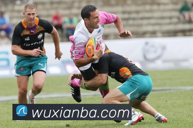 数据防护可视化